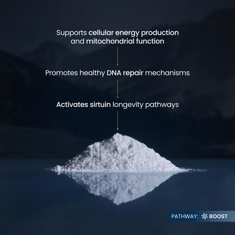 NMN Pure Power | AWARE